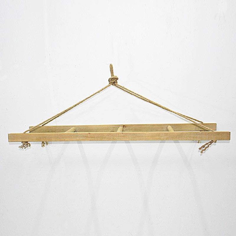Rustic Decorative Hanging Ladder Shelf