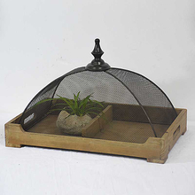Beautiful Shabby Chic Antique Wooden Tray with Mesh Dome