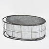 Shabby Chic Decoration Gardening Metal Zinc Plant Pot Wholesale 